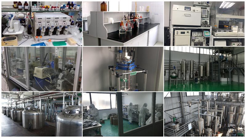 Avocado fruit Extract super factory