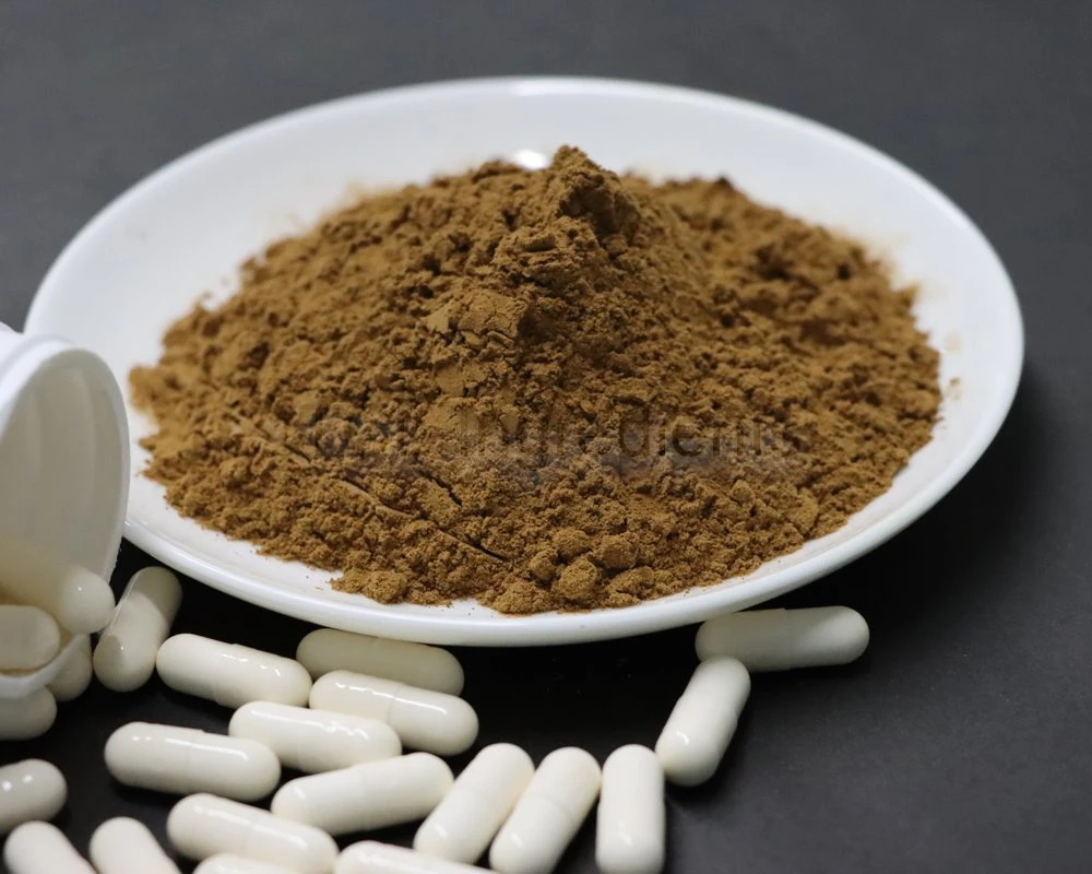 lemon balm extract powder brown fine powder