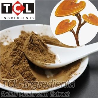 Izvleček gob Reishi